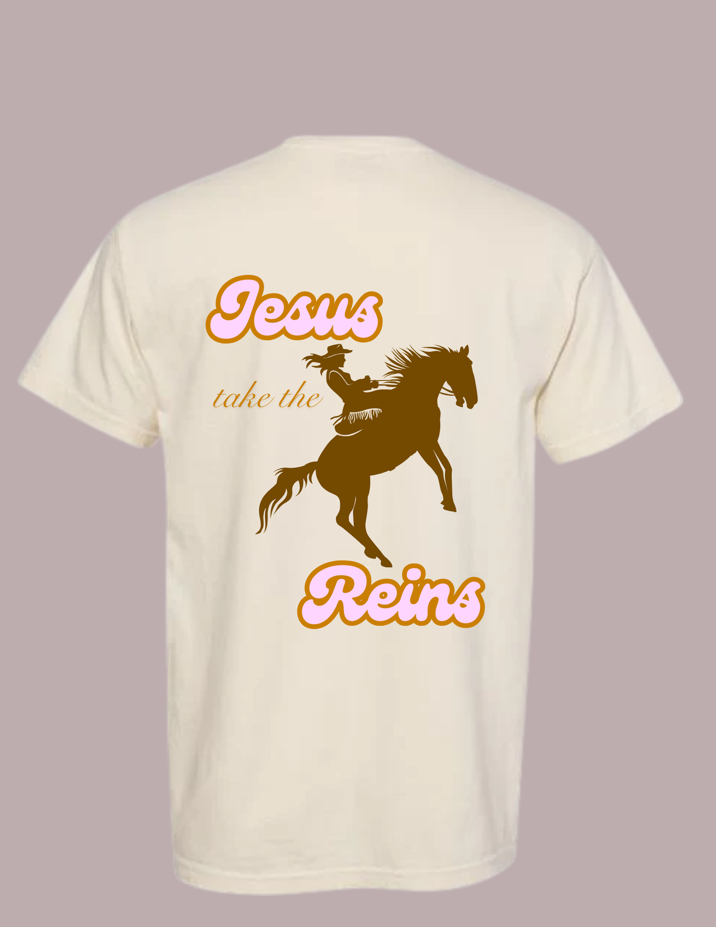 Jesus Take The Reins