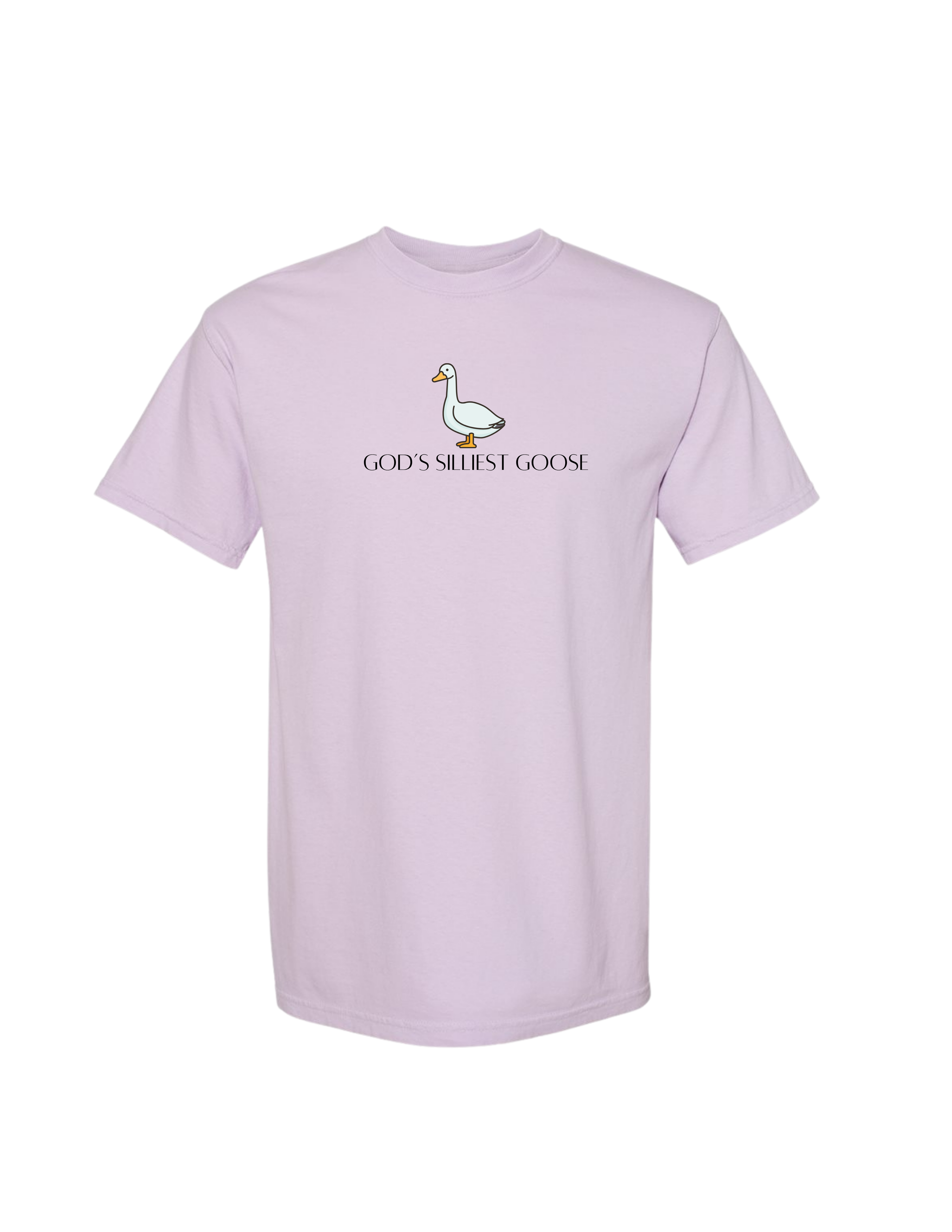 God's Silliest Goose Tee