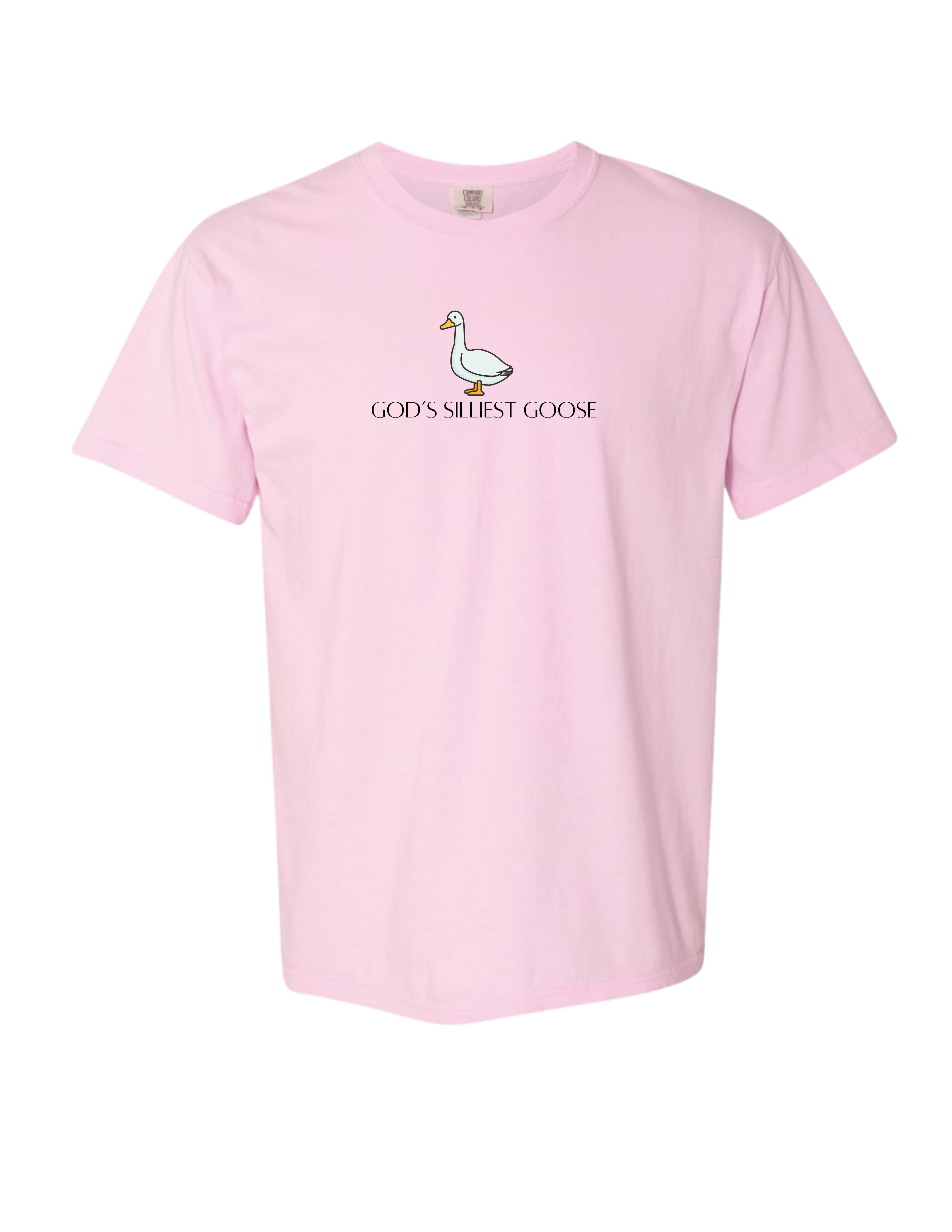 God's Silliest Goose Tee