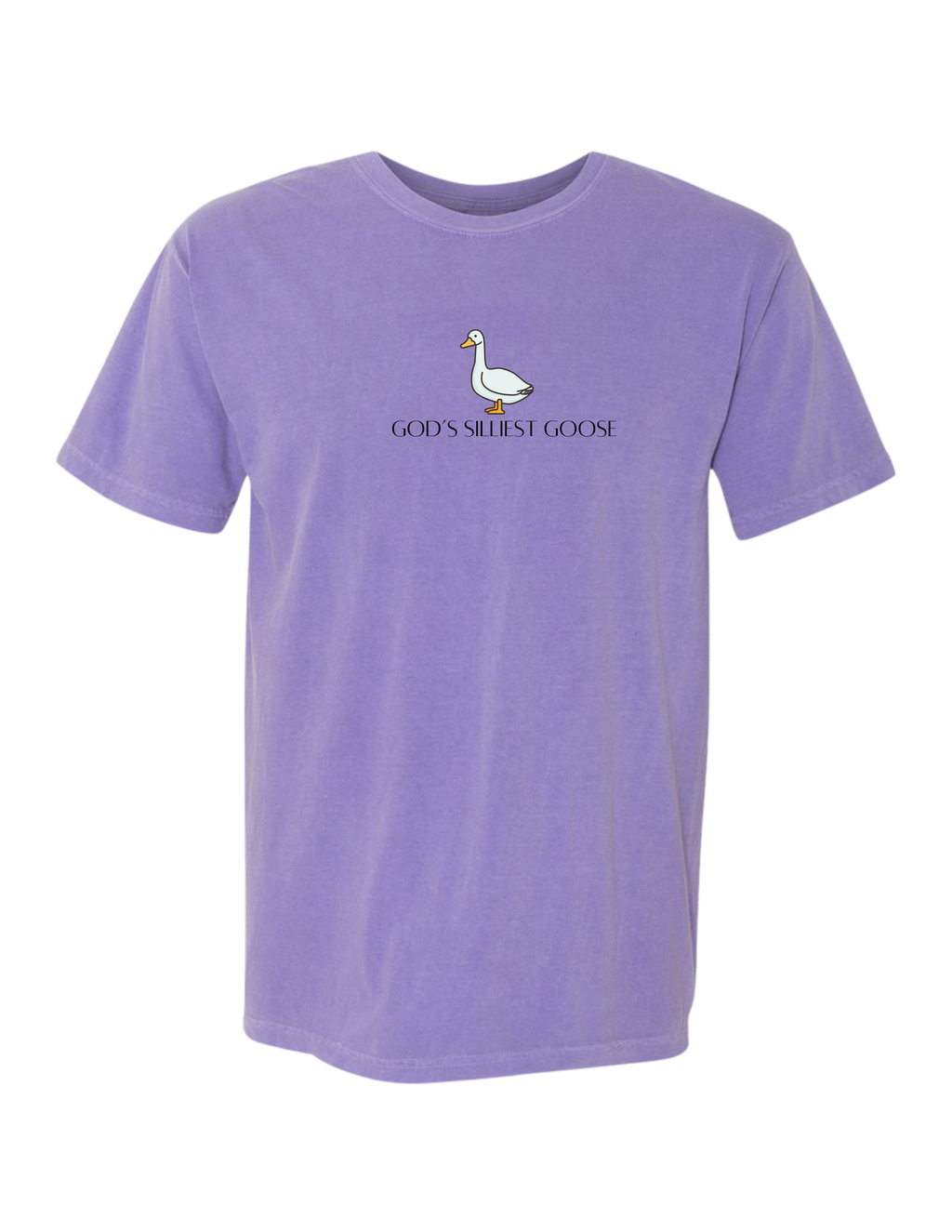 God's Silliest Goose Tee