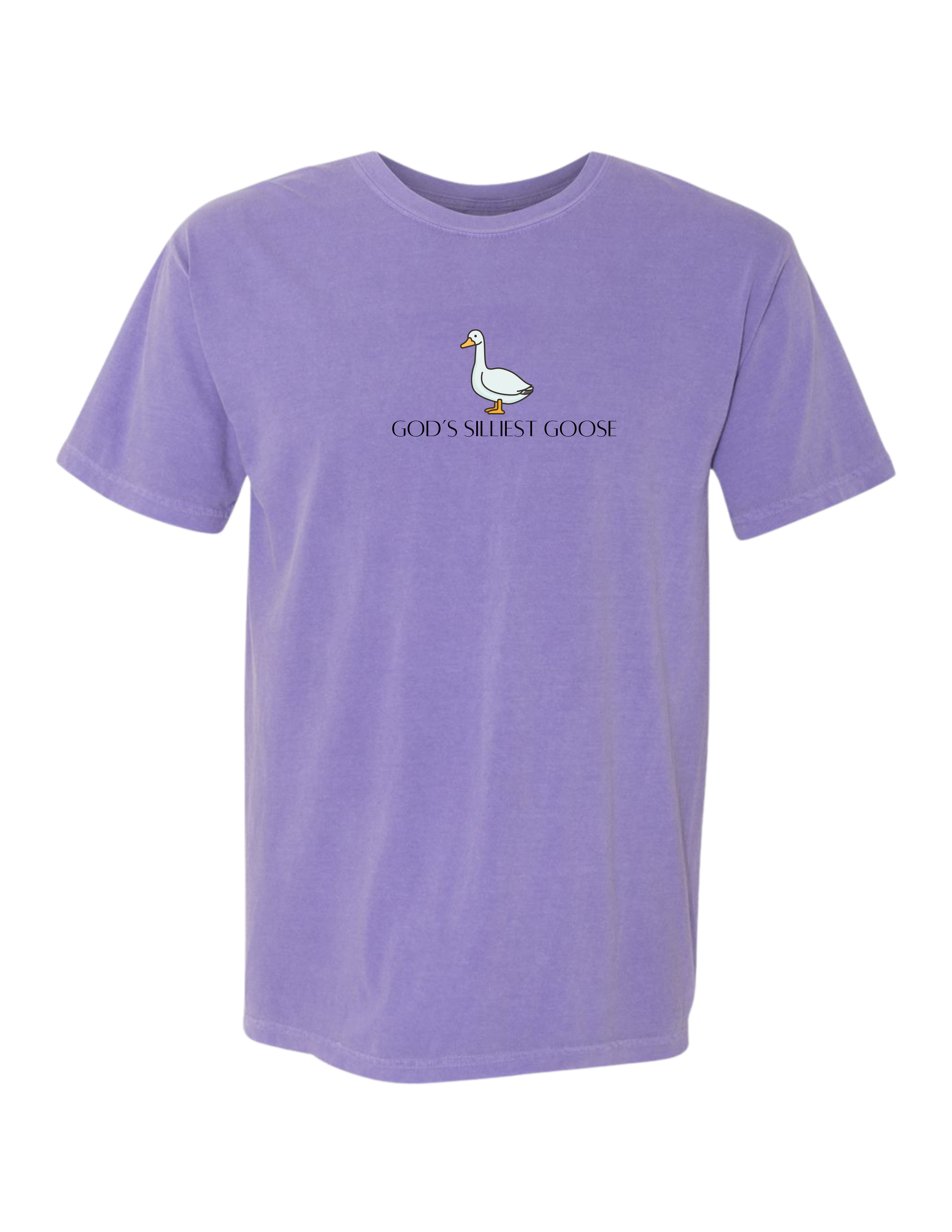 God's Silliest Goose Tee